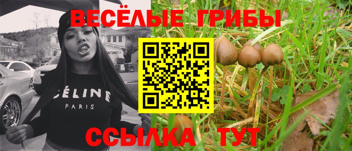 Галлюциногенные грибы Magic Shrooms  купить закладку  Славгород  Псилоцибиновые грибы MAGIC MUSHROOMS  Вход с VPN 